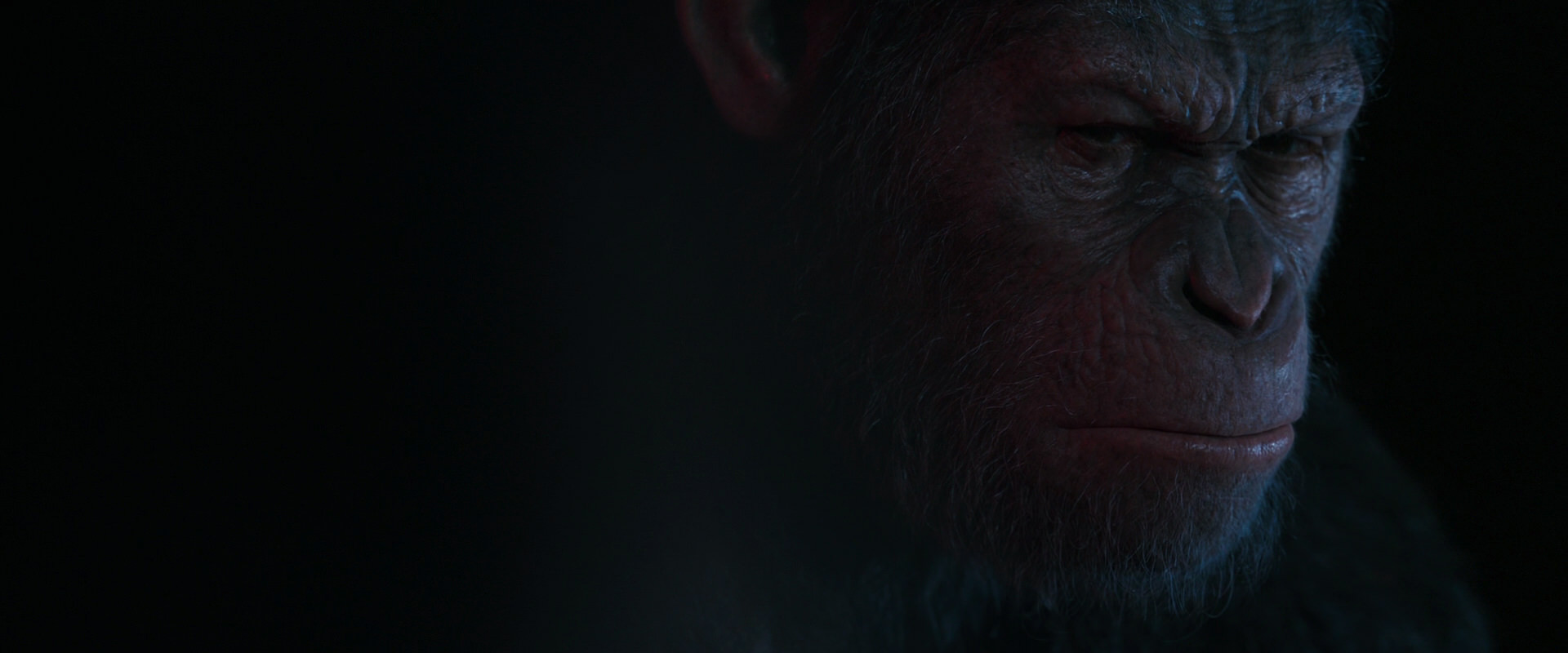 War for the Planet of the Apes (2017) screencap 6159