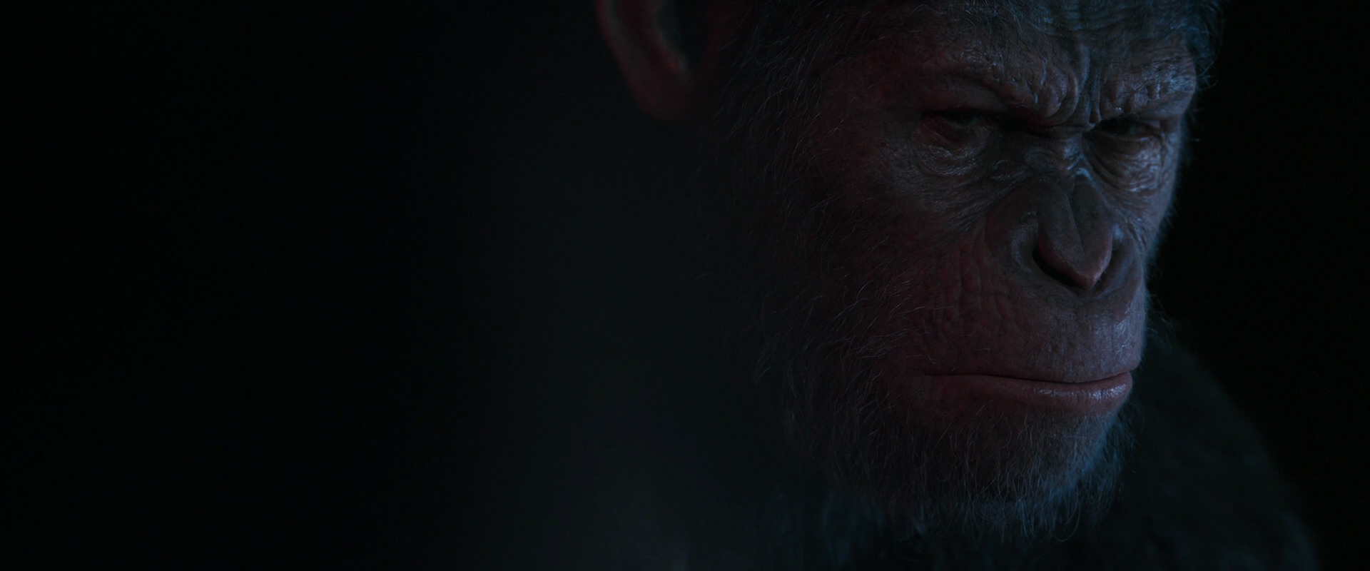 War for the Planet of the Apes (2017) movie still 6160