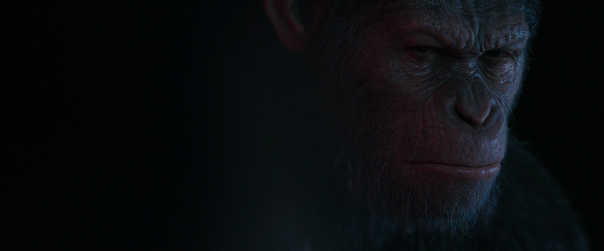 War for the Planet of the Apes (2017) screencap 6162