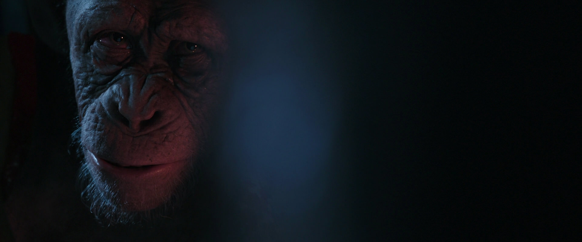 War for the Planet of the Apes (2017) movie still 6166