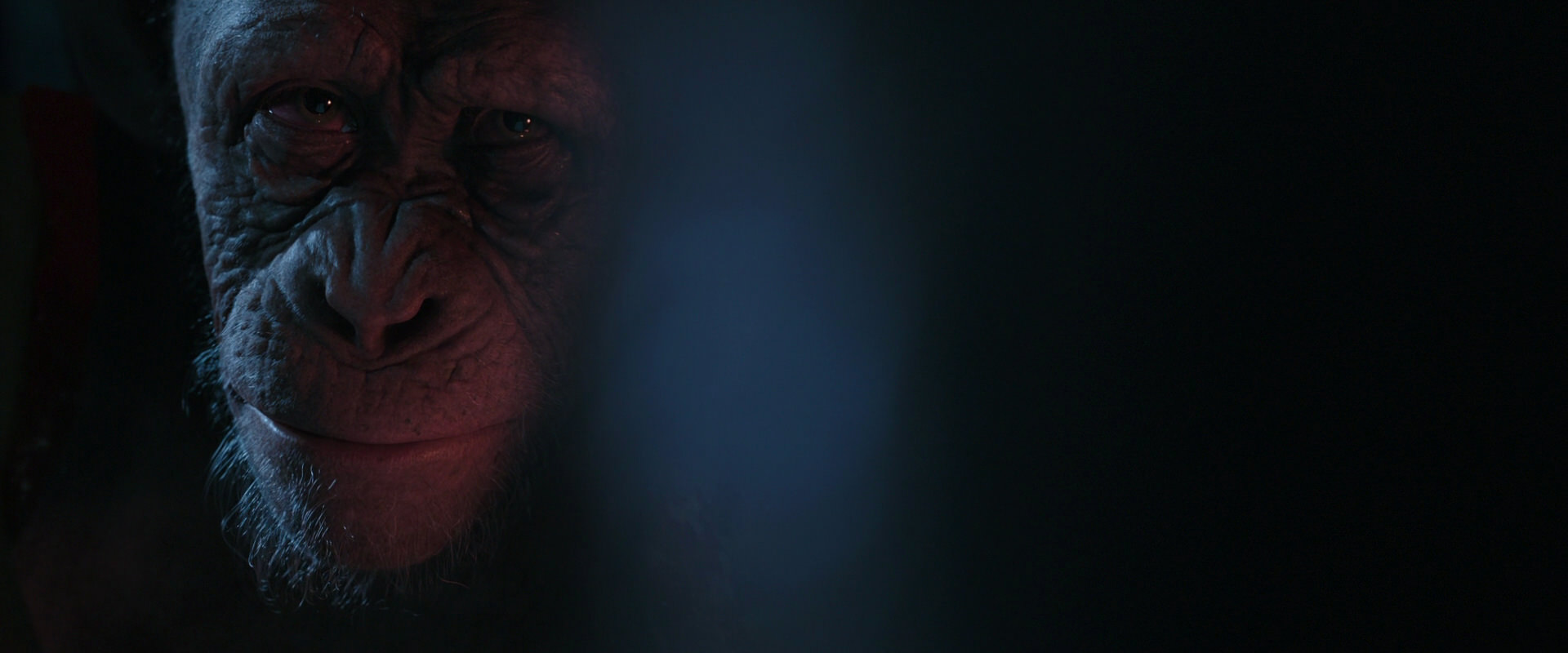 War for the Planet of the Apes (2017) screencap 6168