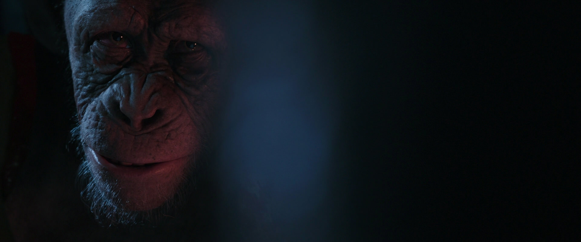 War for the Planet of the Apes (2017) movie still 6169