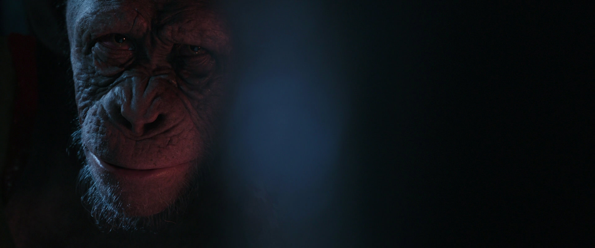War for the Planet of the Apes (2017) movie still 6172