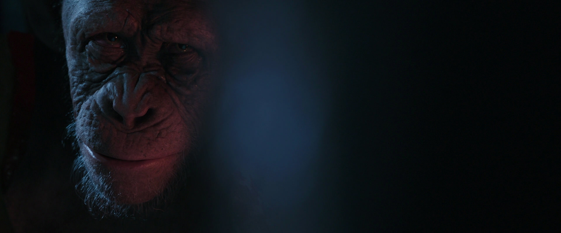 War for the Planet of the Apes (2017) screencap 6174