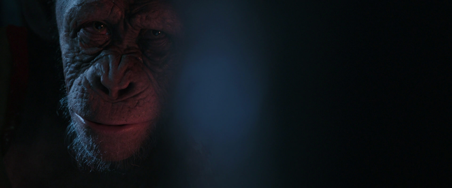 War for the Planet of the Apes (2017) screencap 6177