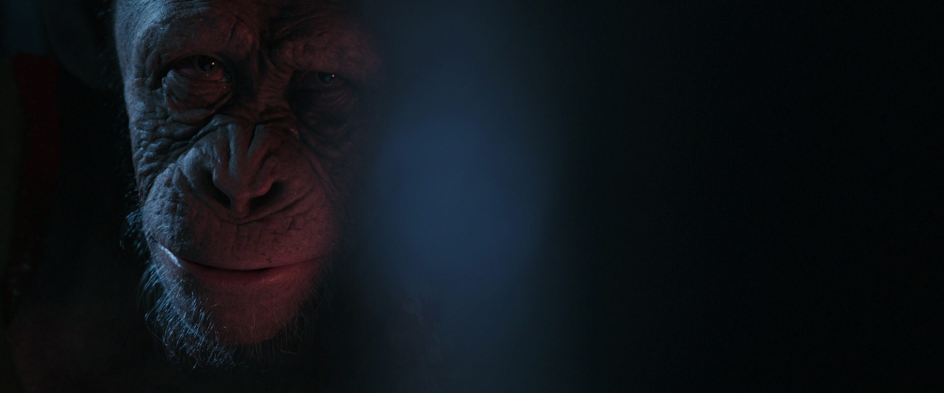 War for the Planet of the Apes (2017) movie still 6178