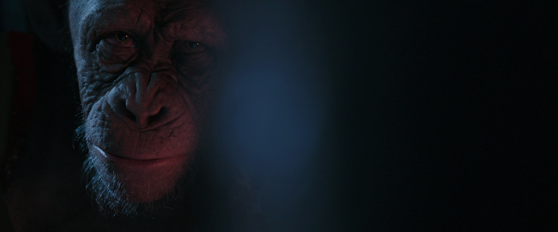 War for the Planet of the Apes (2017) screencap 6180