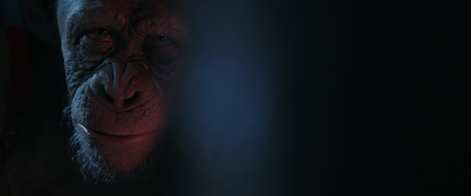 War for the Planet of the Apes (2017) movie still 6181