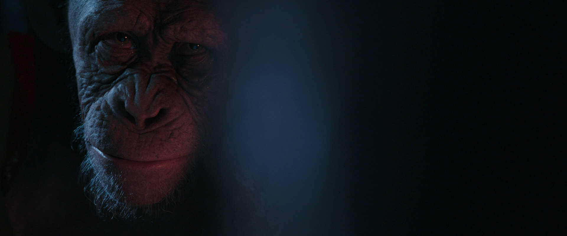 War for the Planet of the Apes (2017) movie still 6187