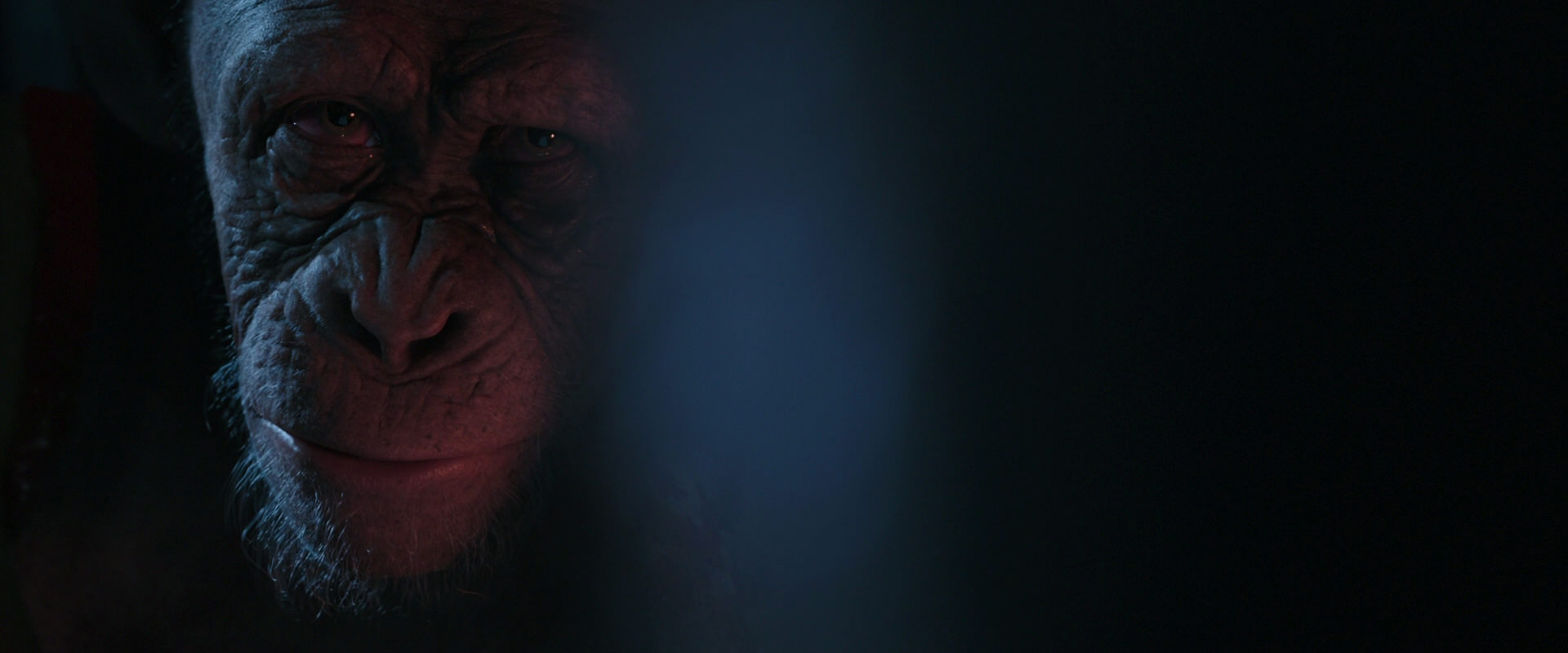 War for the Planet of the Apes (2017) movie still 6190