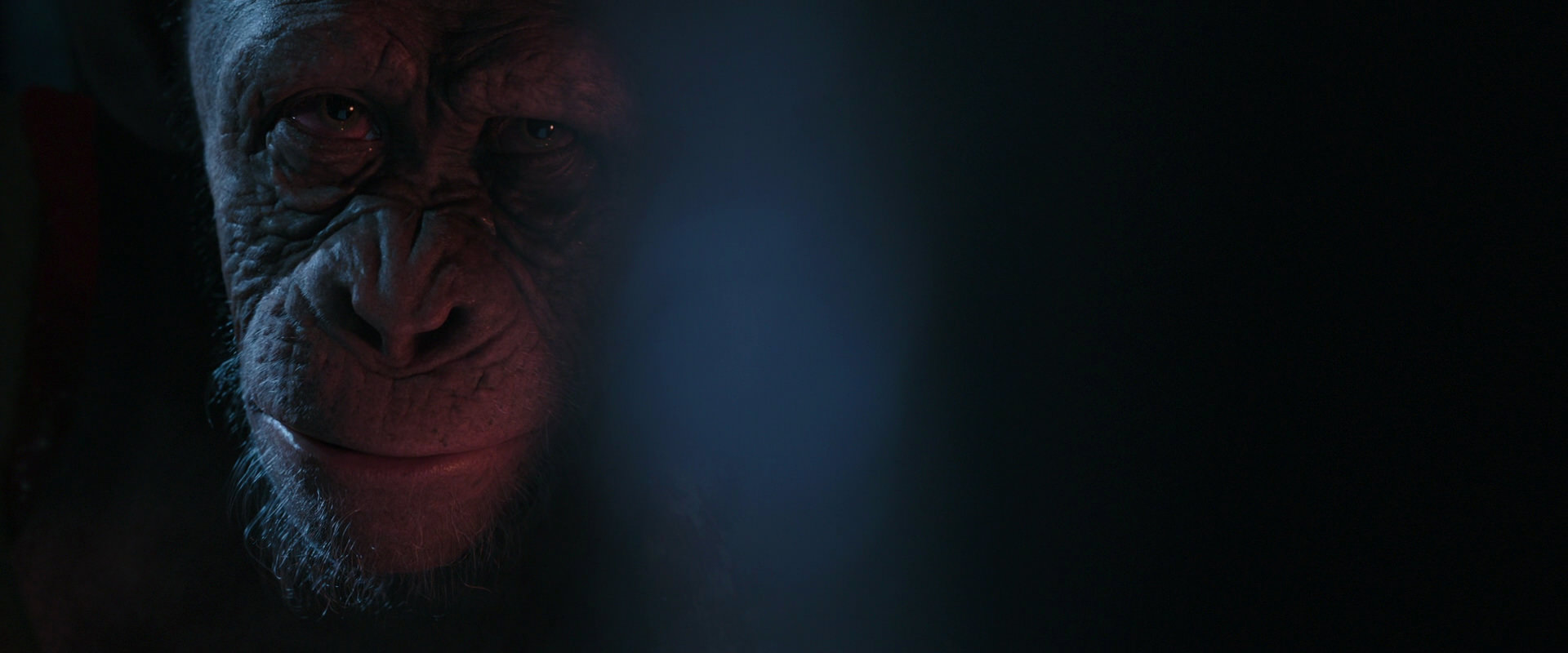 War for the Planet of the Apes (2017) screencap 6192
