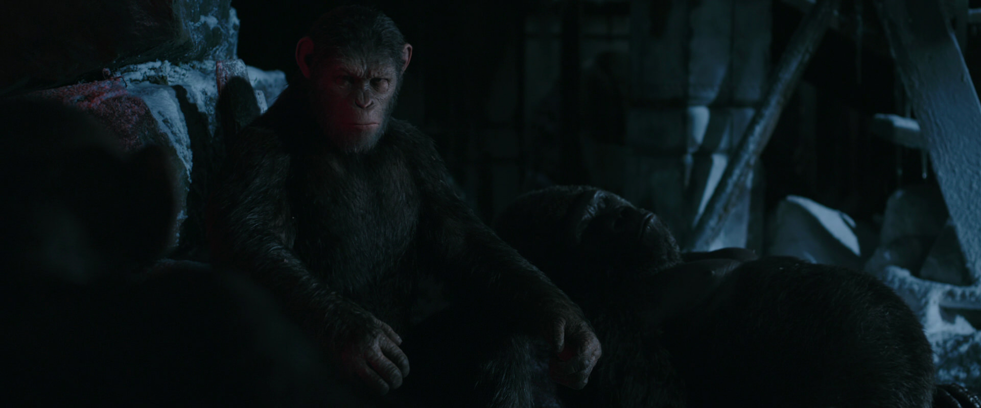 War for the Planet of the Apes (2017) screencap 6207