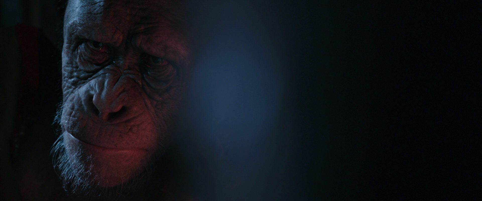 War for the Planet of the Apes (2017) movie still 6211