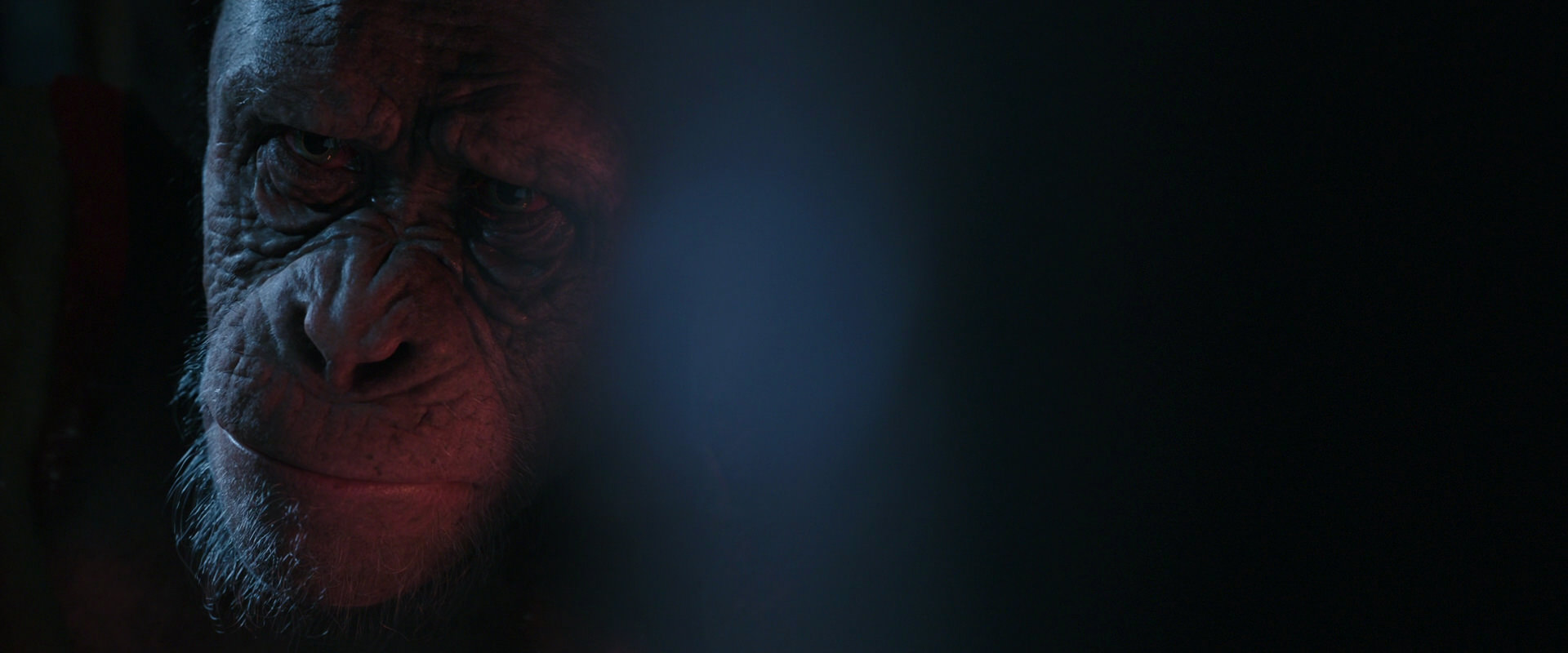 War for the Planet of the Apes (2017) HD screenshot 6212