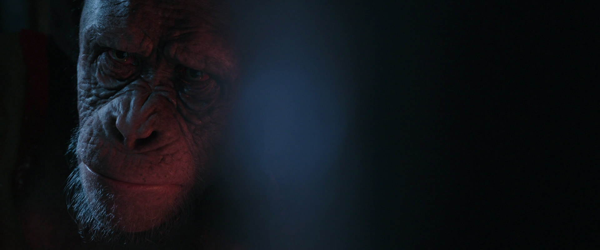 War for the Planet of the Apes (2017) screencap 6213