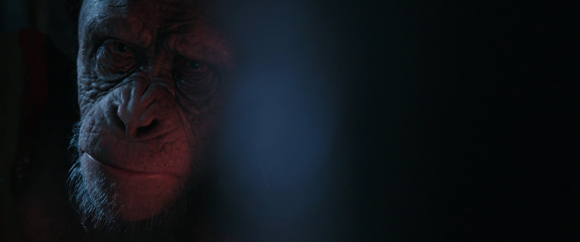 War for the Planet of the Apes (2017) screencap 6216