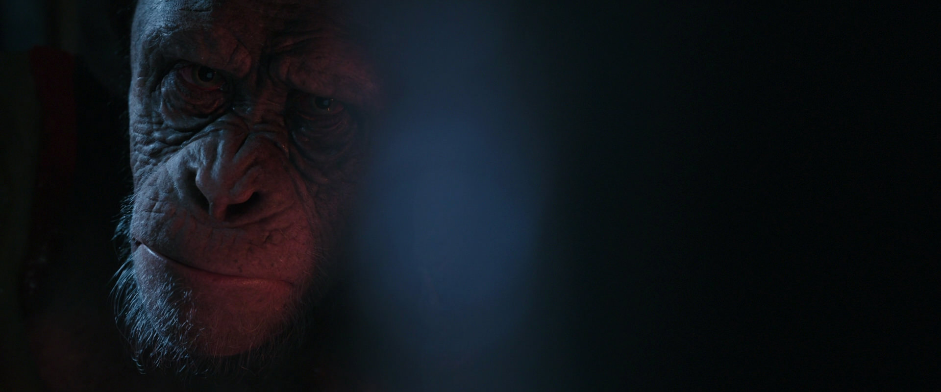 War for the Planet of the Apes (2017) movie still 6217
