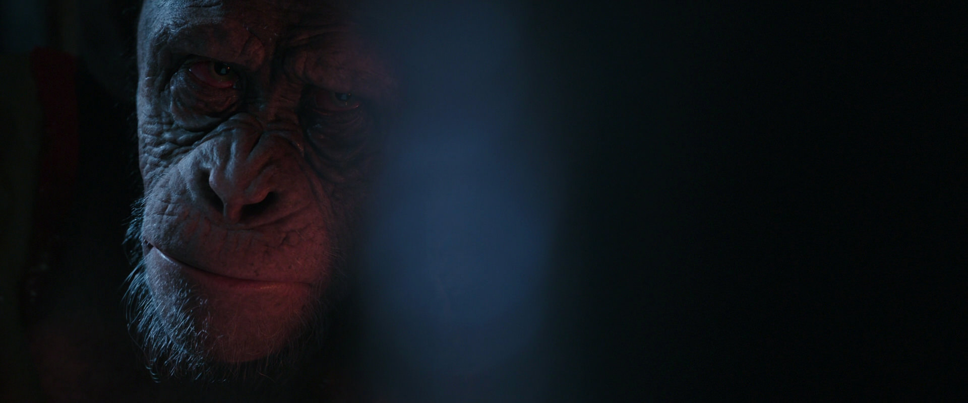War for the Planet of the Apes (2017) screencap 6219