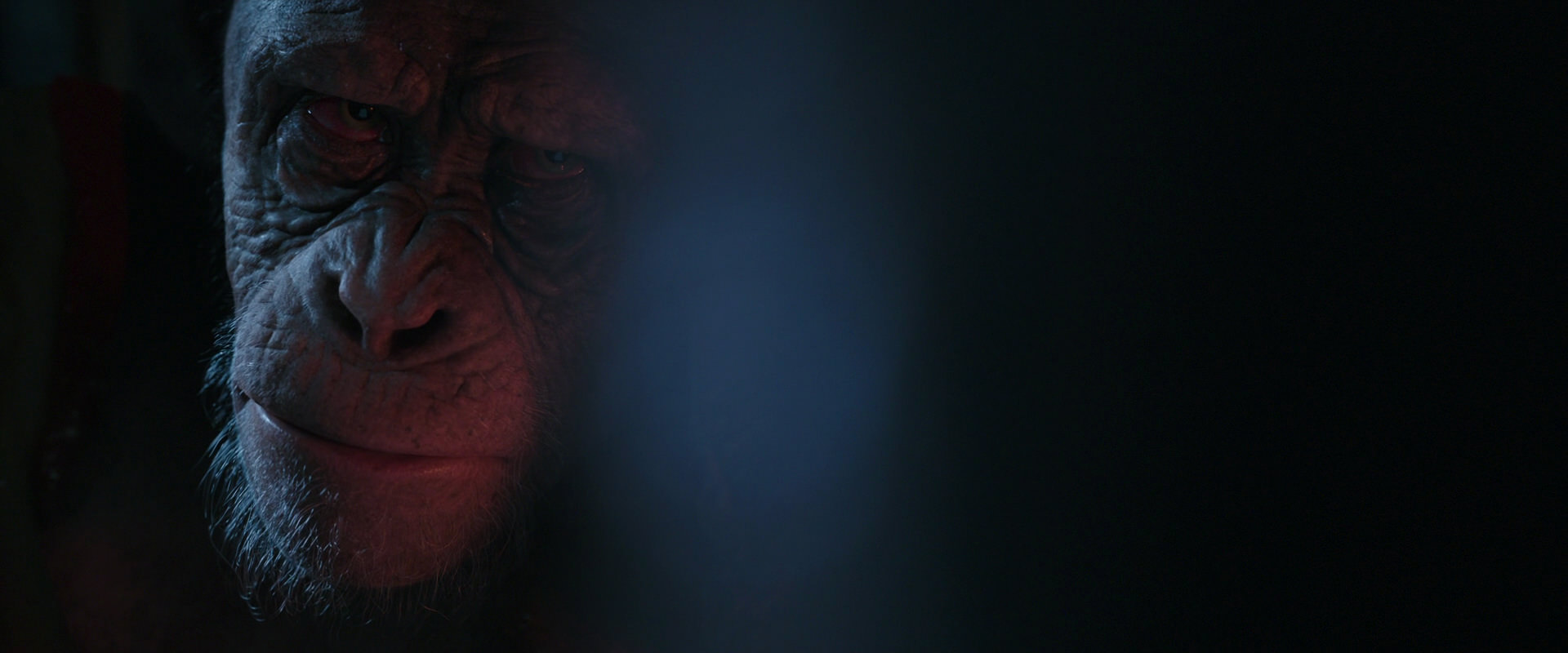 War for the Planet of the Apes (2017) screencap 6222
