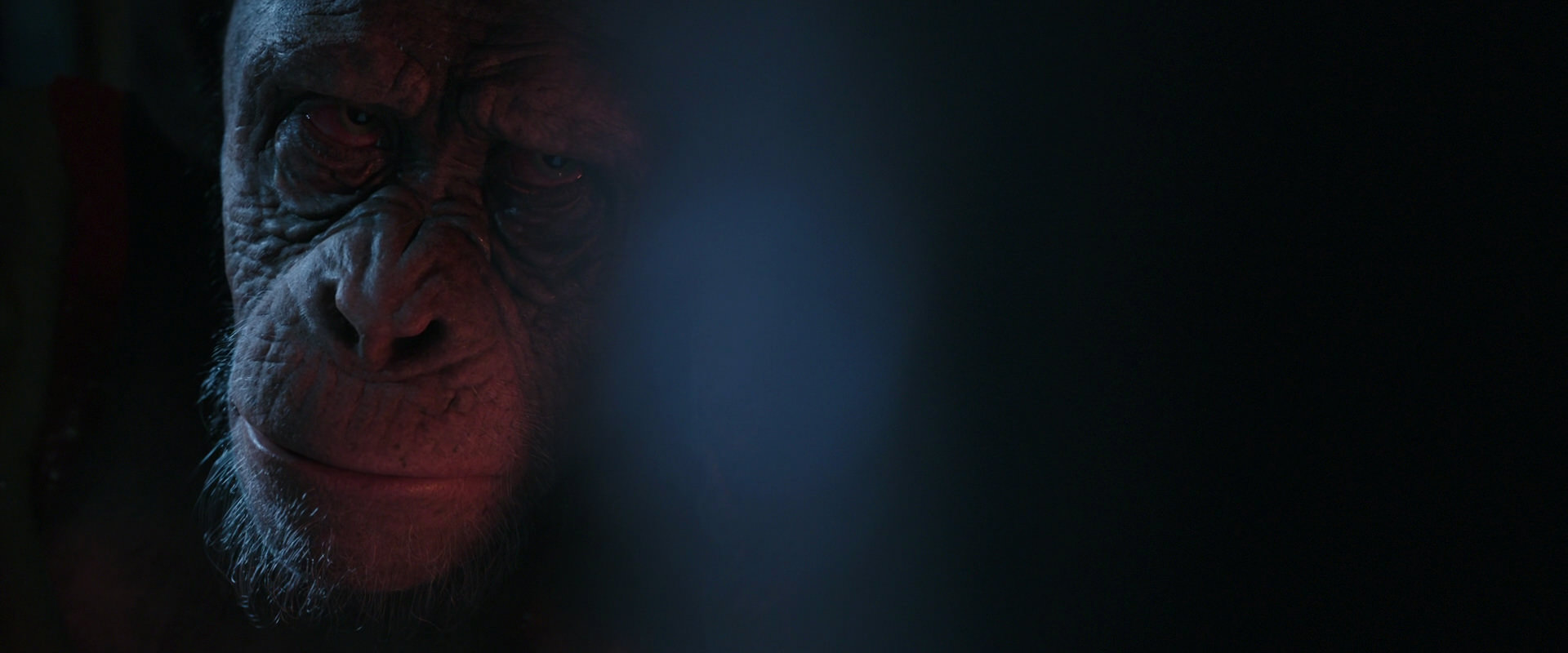 War for the Planet of the Apes (2017) movie still 6226