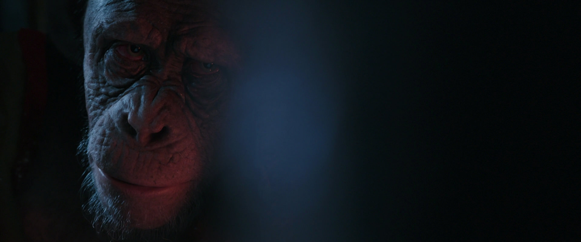 War for the Planet of the Apes (2017) screencap 6228
