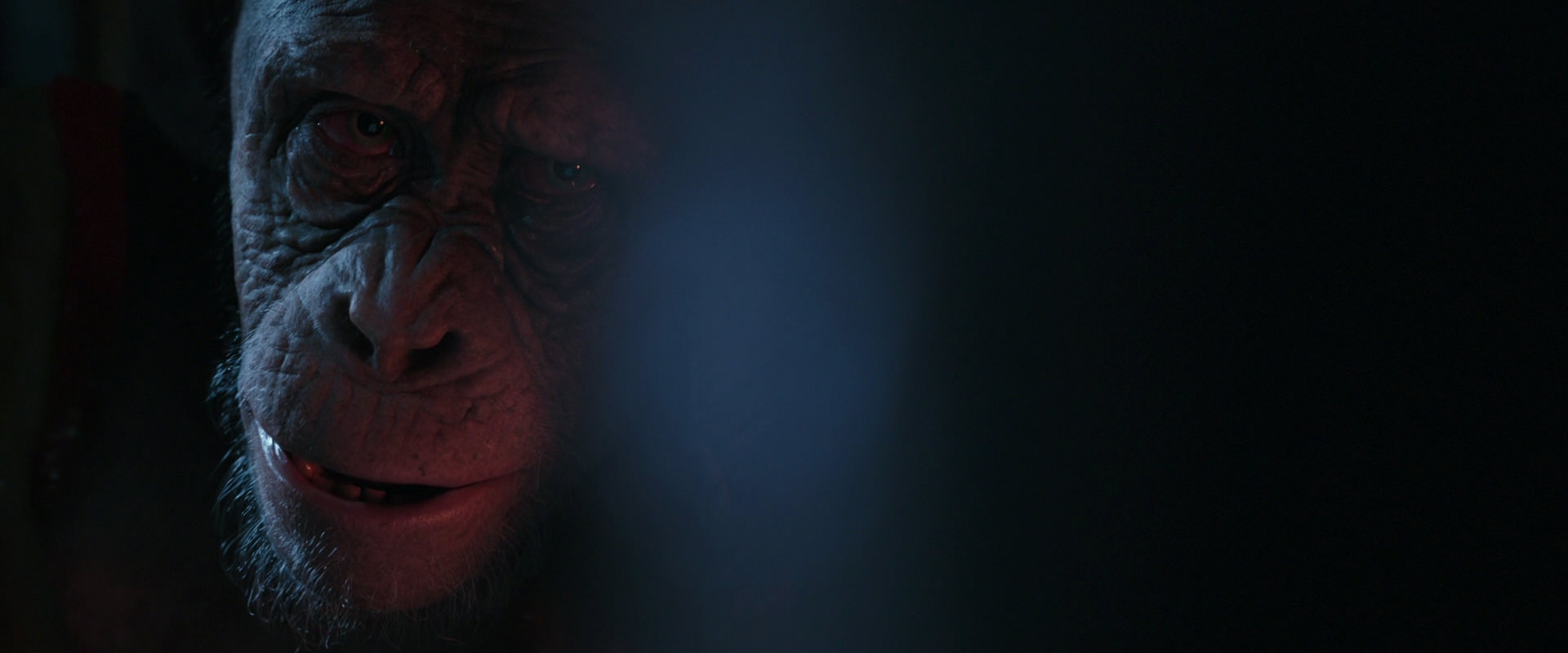 War for the Planet of the Apes (2017) movie still 6229