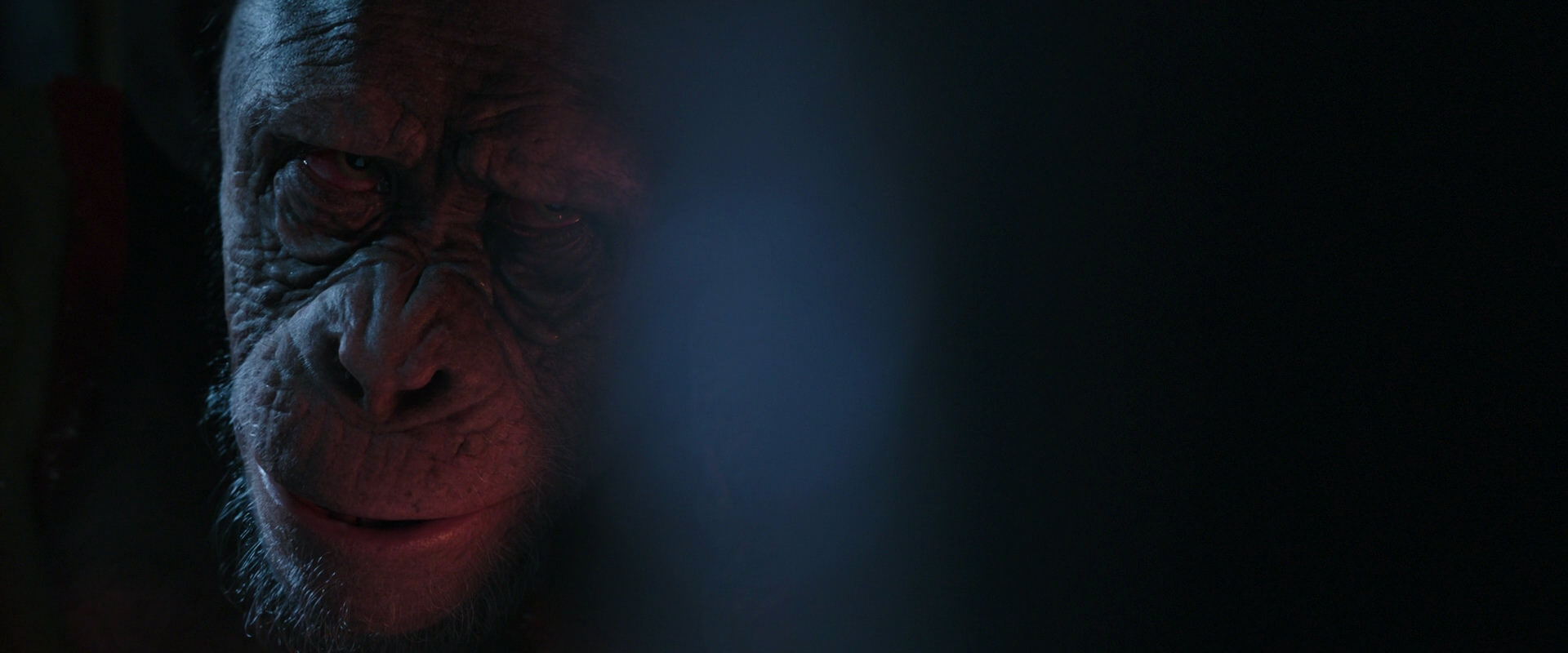 War for the Planet of the Apes (2017) screencap 6231