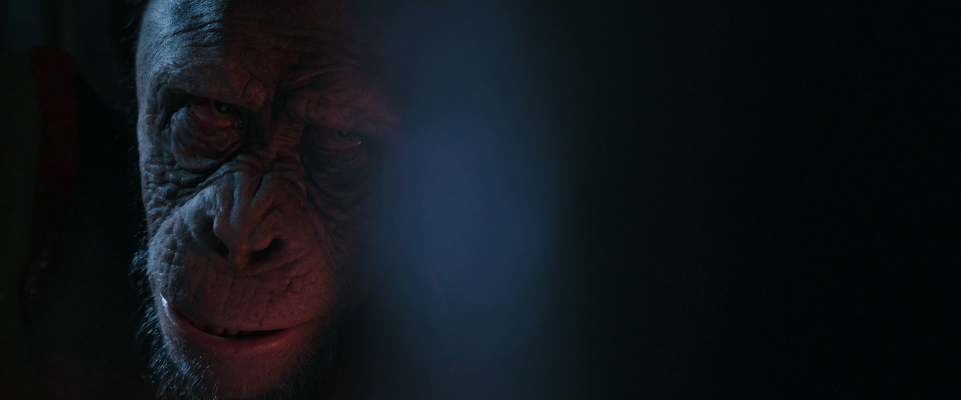 War for the Planet of the Apes (2017) movie still 6232