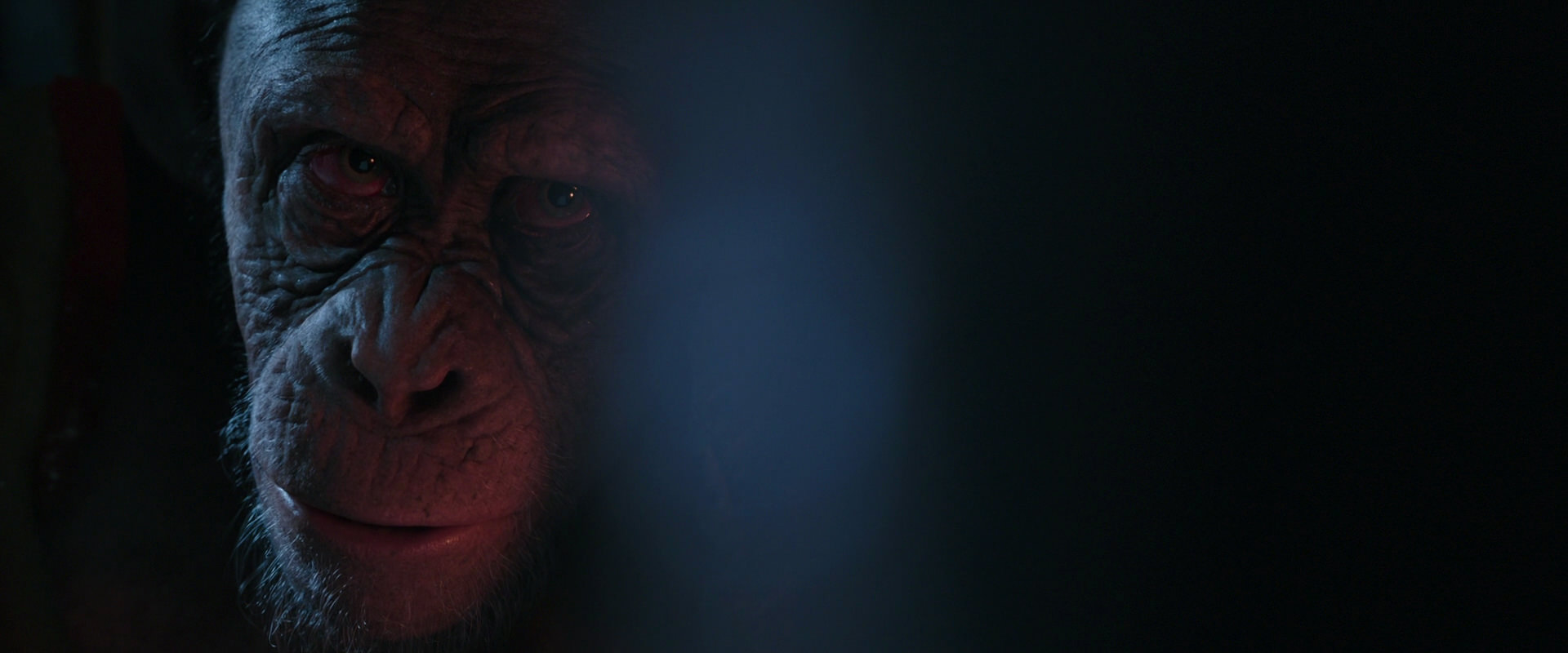 War for the Planet of the Apes (2017) screencap 6234
