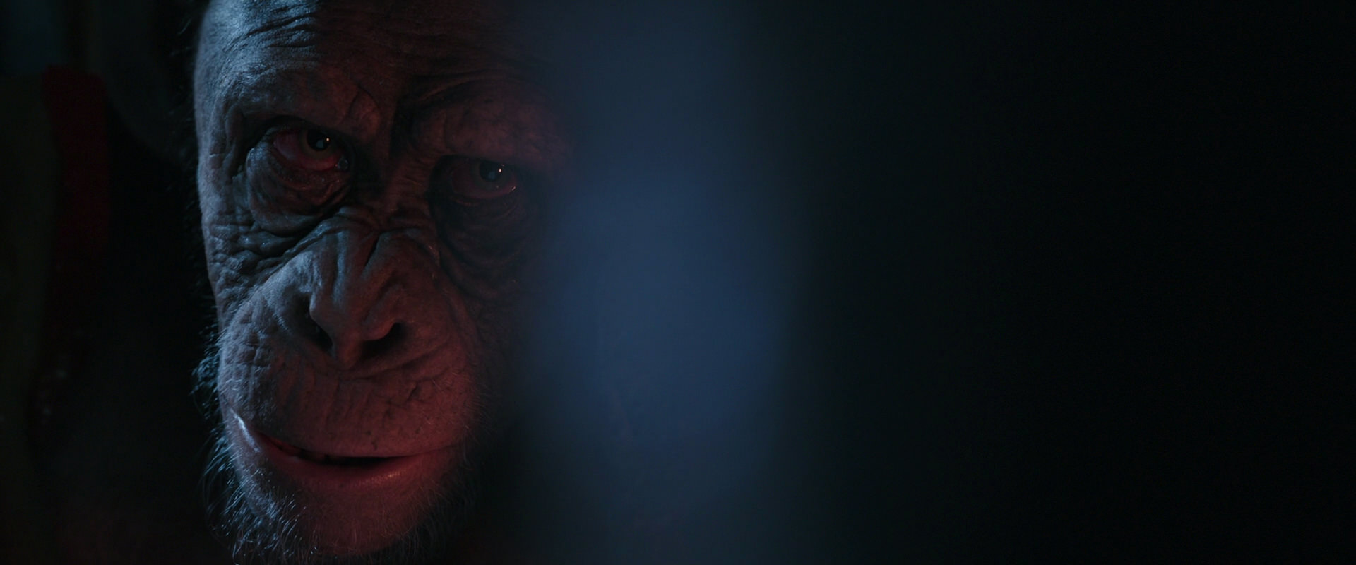 War for the Planet of the Apes (2017) movie still 6235