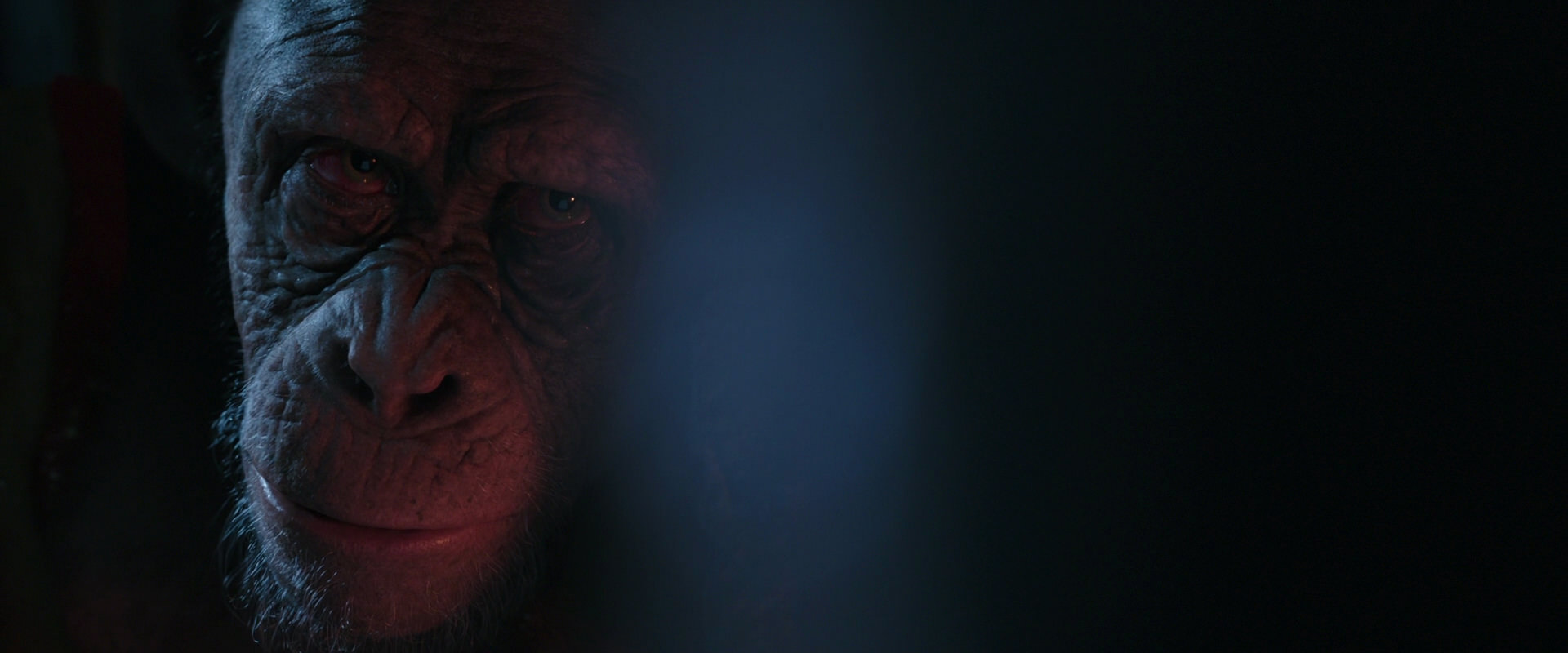 War for the Planet of the Apes (2017) screencap 6237