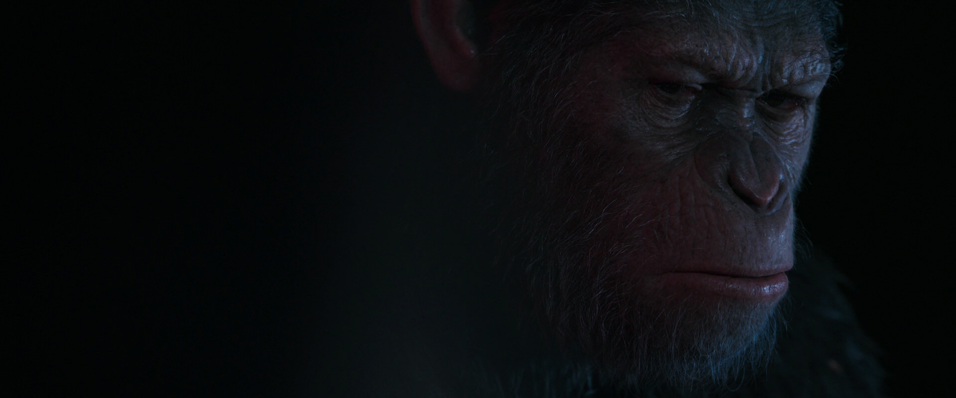 War for the Planet of the Apes (2017) movie still 6238