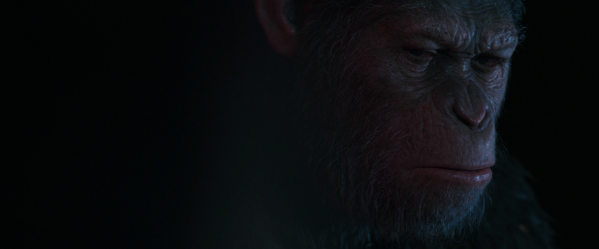 War for the Planet of the Apes (2017) screencap 6240