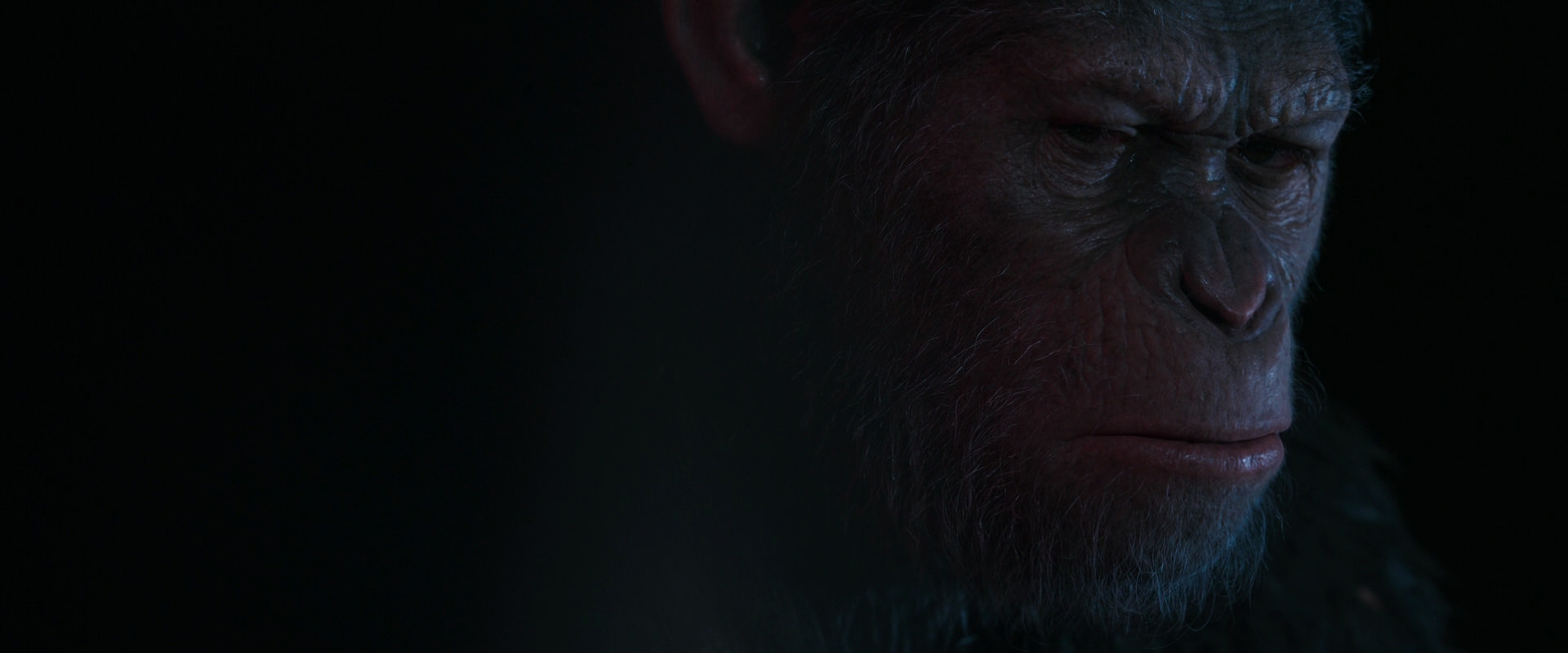 War for the Planet of the Apes (2017) movie still 6241