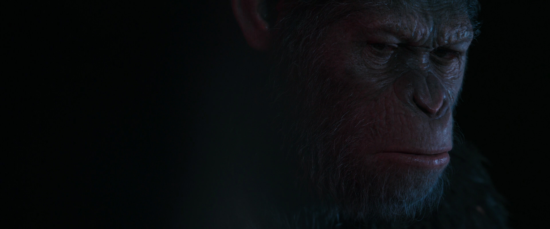 War for the Planet of the Apes (2017) HD screenshot 6242