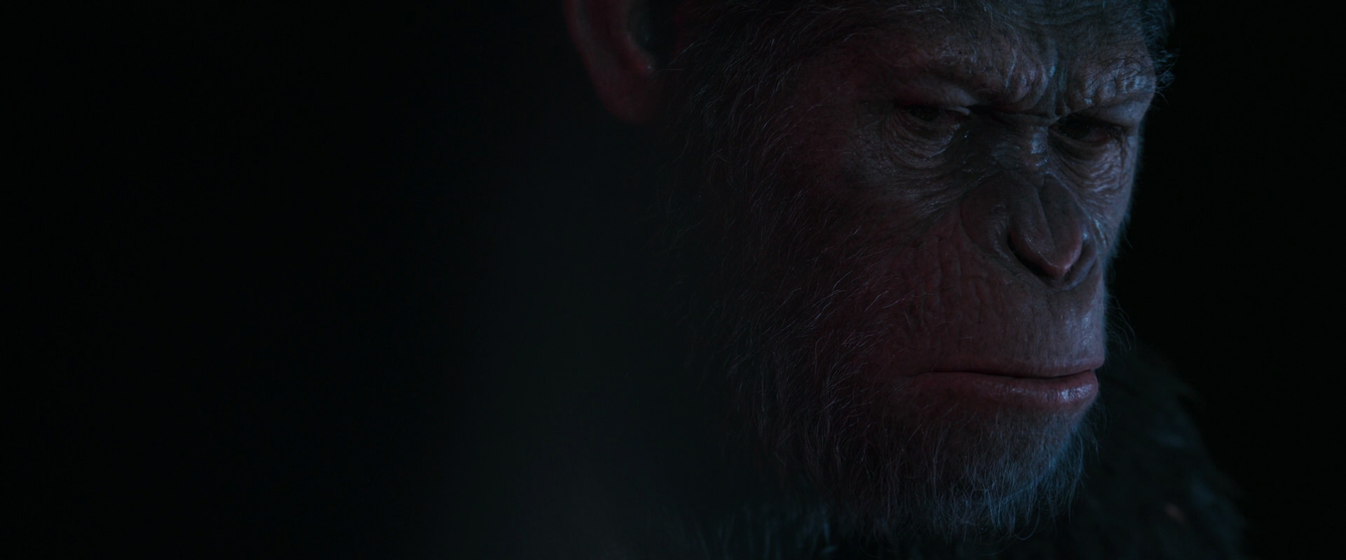 War for the Planet of the Apes (2017) screencap 6243