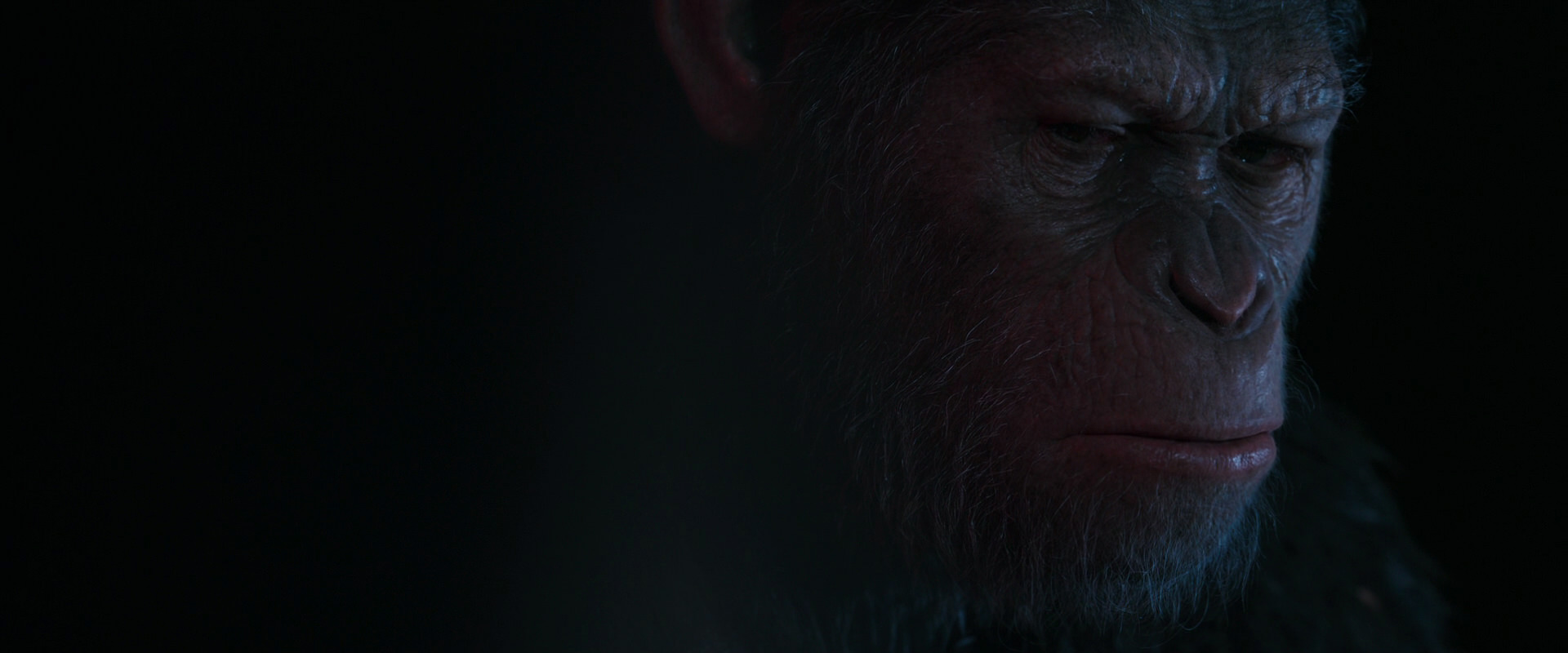 War for the Planet of the Apes (2017) movie still 6244