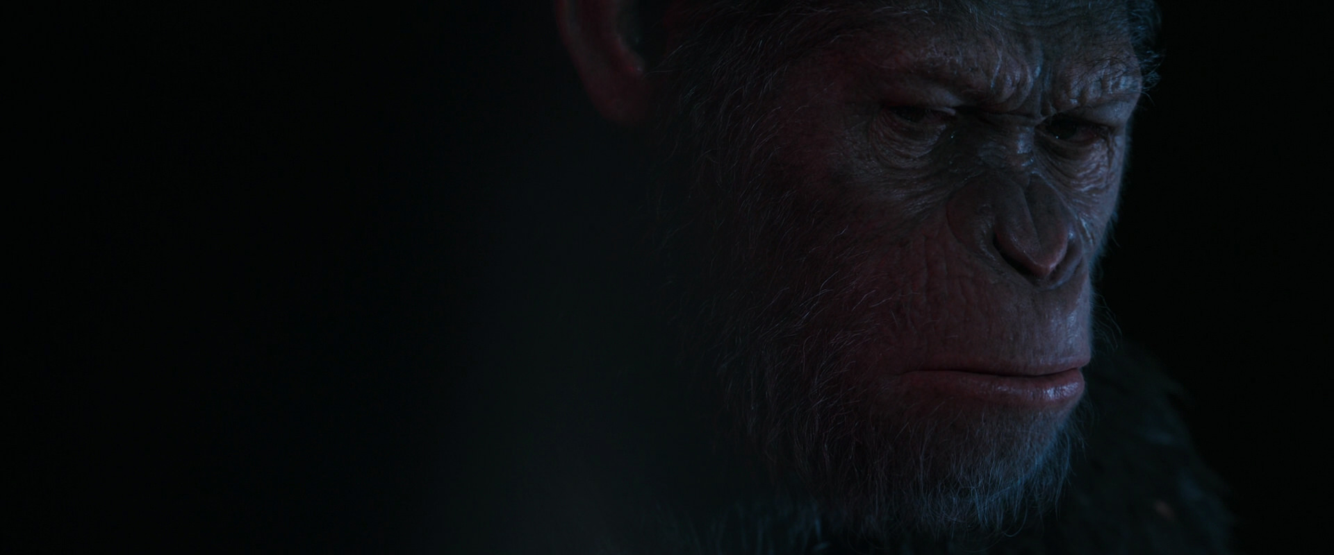 War for the Planet of the Apes (2017) HD screenshot 6245