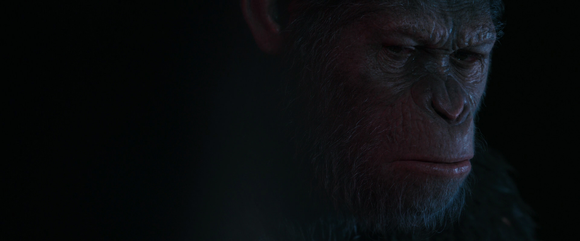 War for the Planet of the Apes (2017) screencap 6246