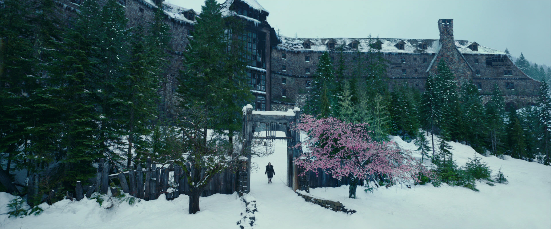 War for the Planet of the Apes (2017) movie still 6247