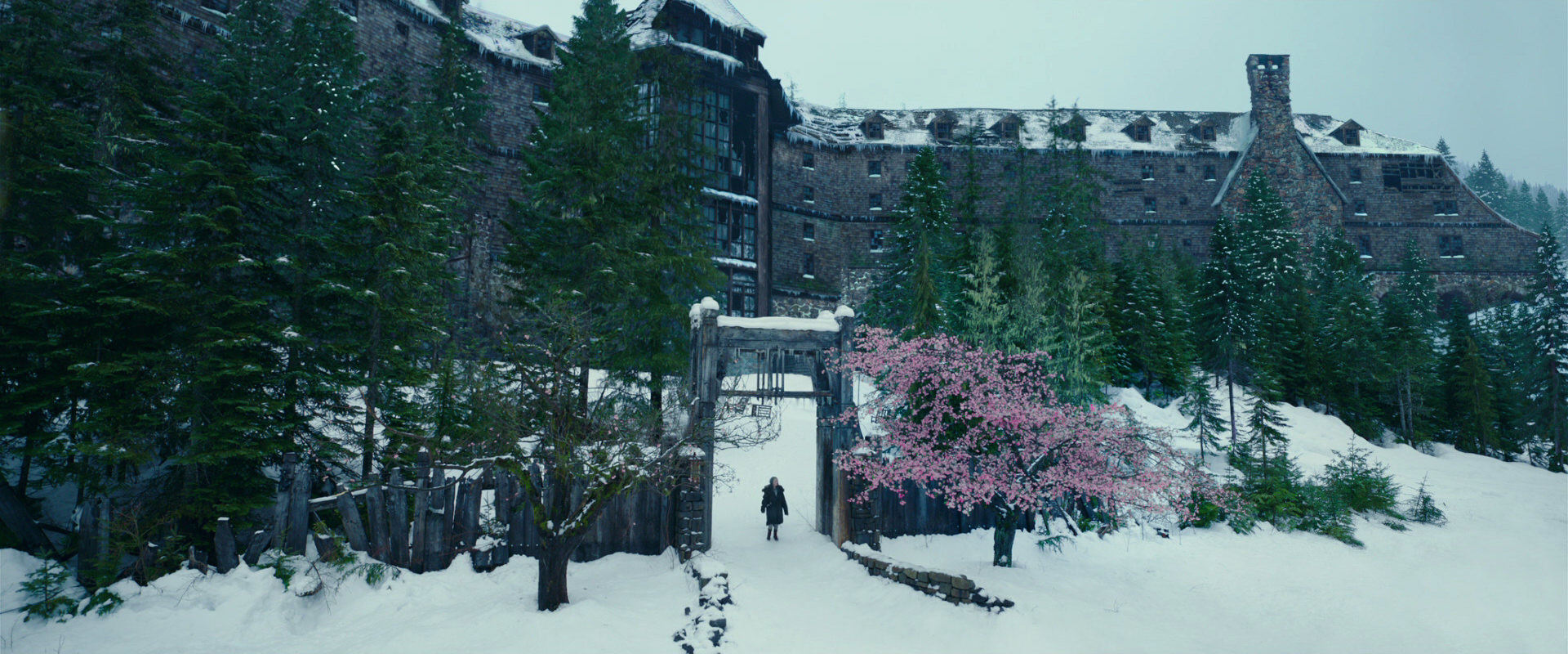 War for the Planet of the Apes (2017) movie still 6250