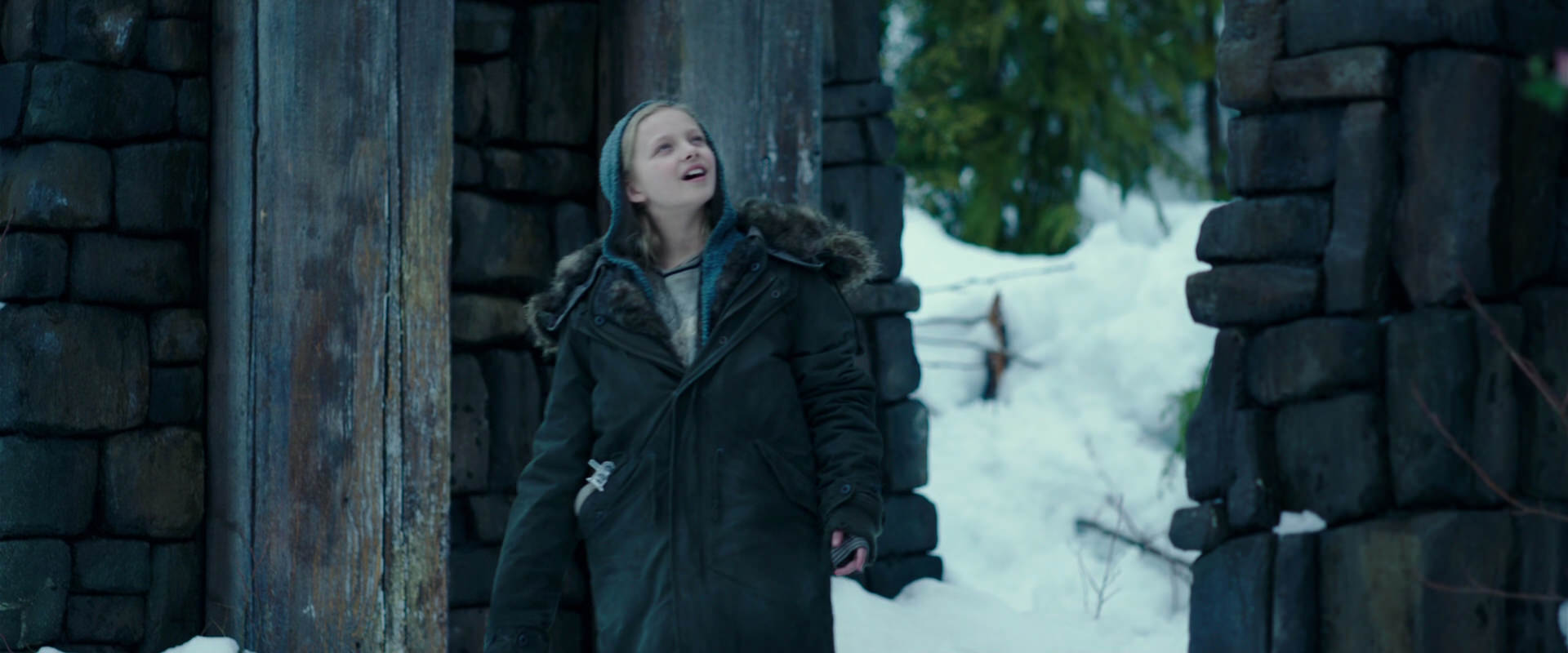 War for the Planet of the Apes (2017) screencap 6255