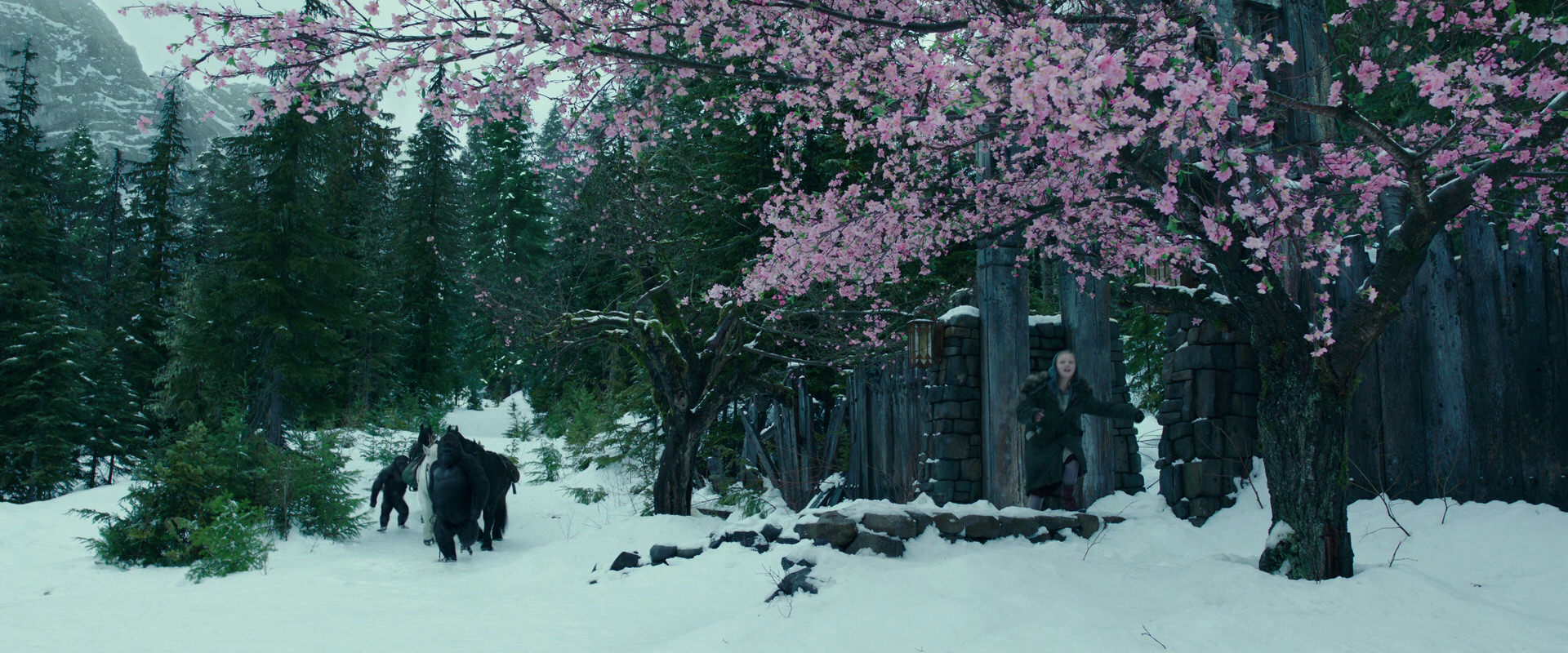 War for the Planet of the Apes (2017) HD screenshot 6263