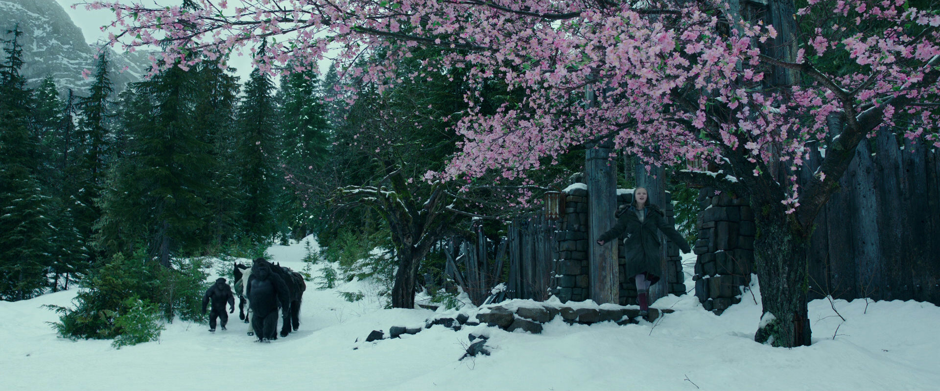 War for the Planet of the Apes (2017) screencap 6267