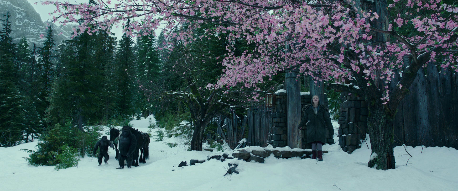 War for the Planet of the Apes (2017) HD screenshot 6269