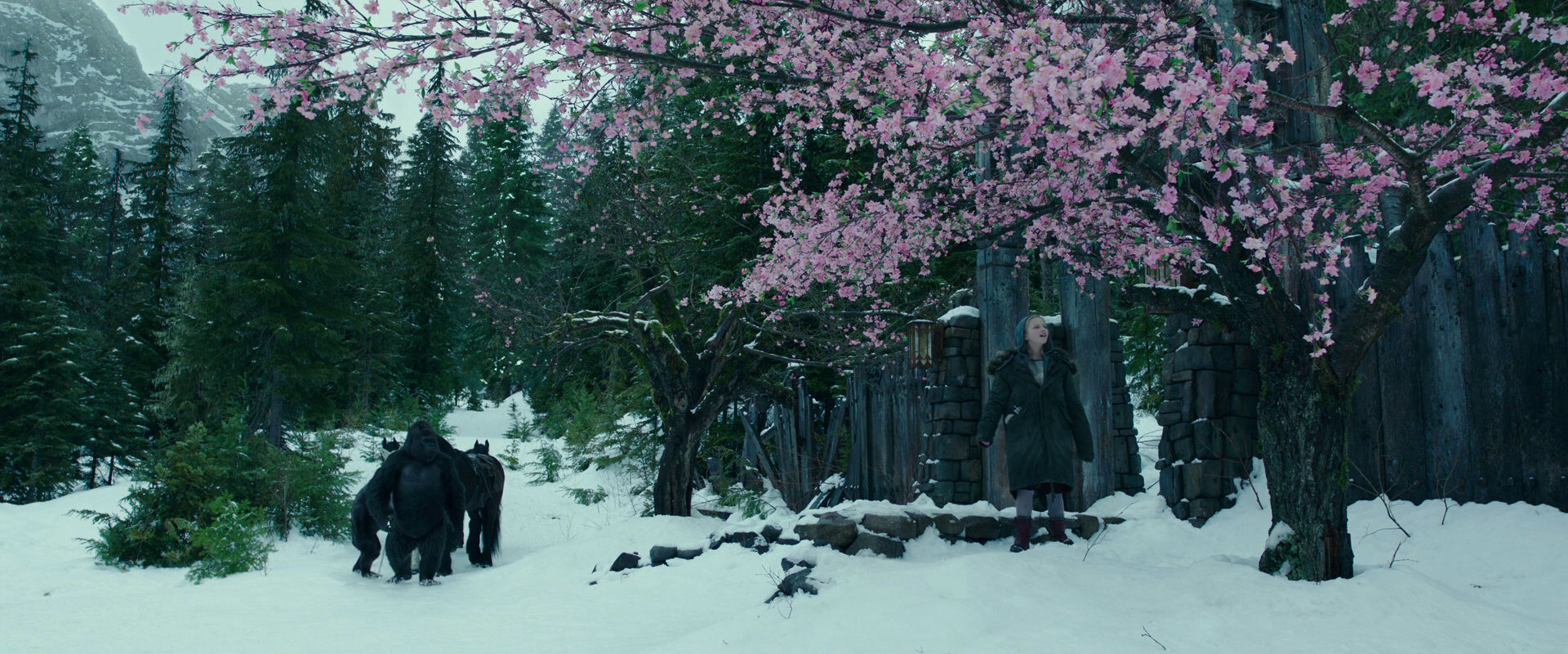 War for the Planet of the Apes (2017) movie still 6274