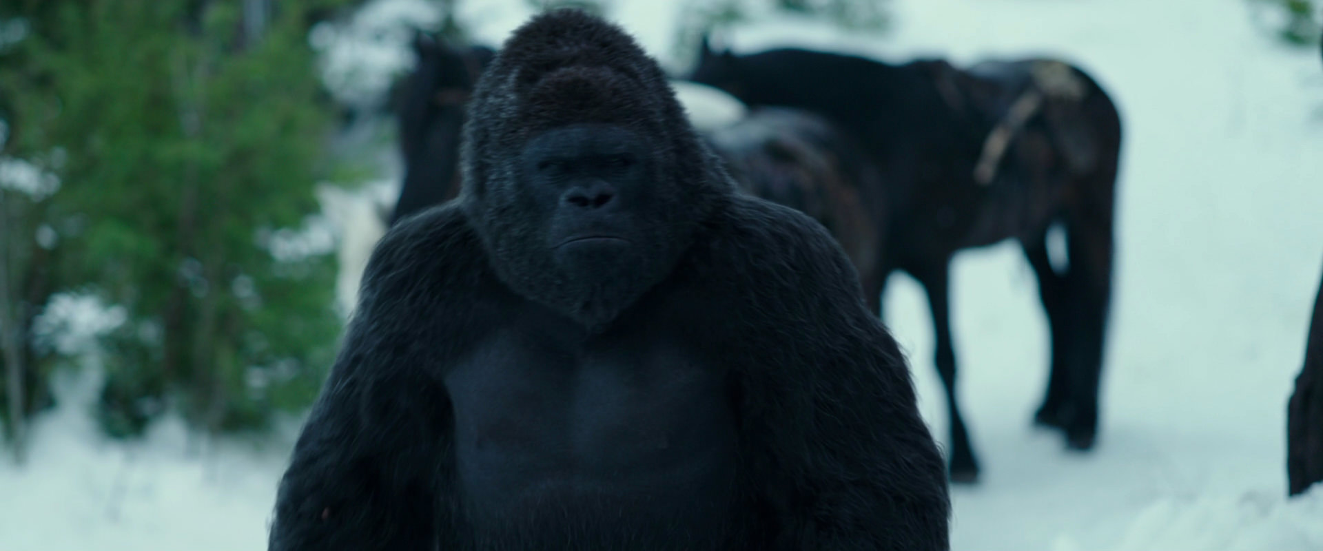 War for the Planet of the Apes (2017) HD screenshot 6275