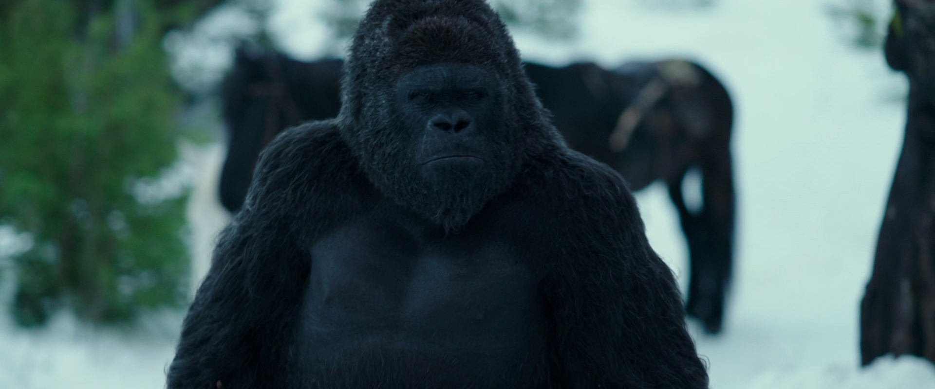 War for the Planet of the Apes (2017) movie still 6277