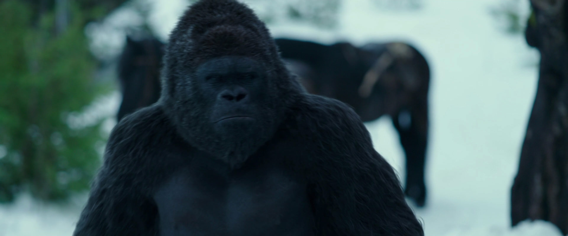War for the Planet of the Apes (2017) HD screenshot 6278