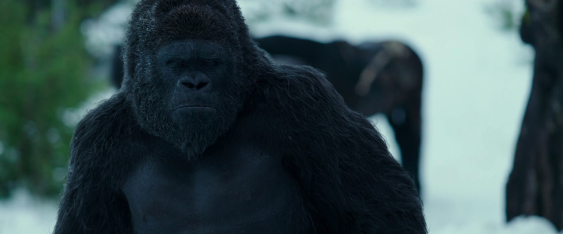 War for the Planet of the Apes (2017) screencap 6279